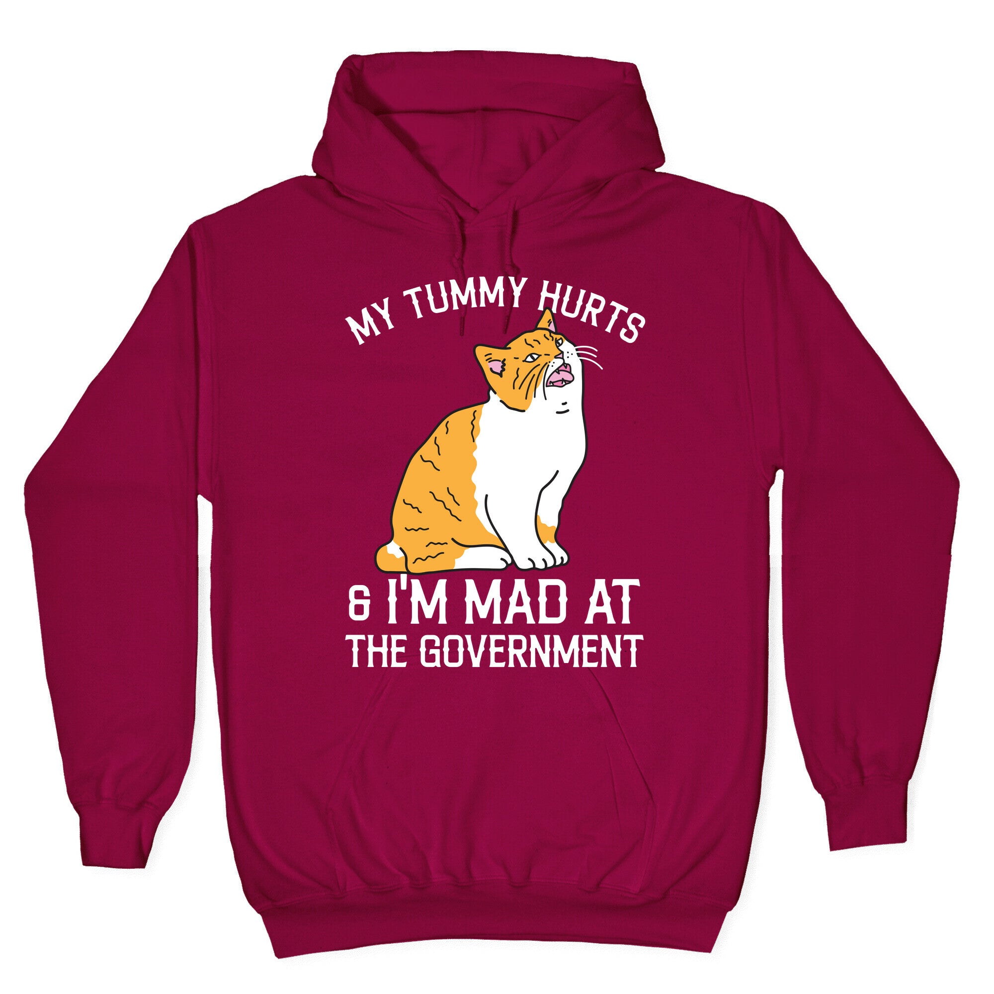 My Tummy Hurts & I'm Mad At The Government Hoodie